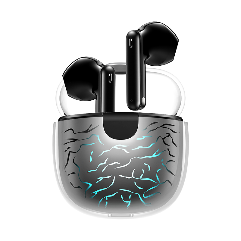 True Wireless Earbuds
